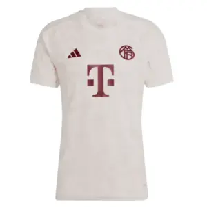 23/24 Bayern Munich Third Jersey Front